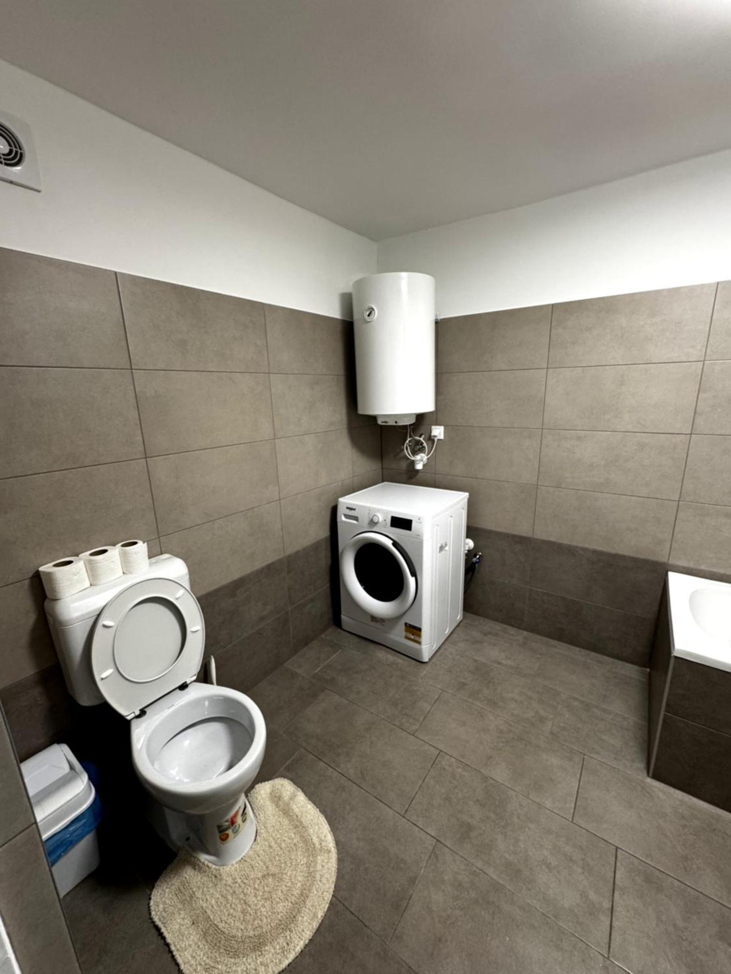 City Apartman Mestecǎneşti Exterior foto